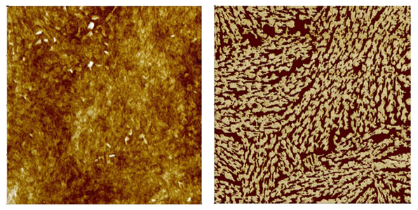 phase-imaging-crystal-facetts